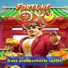 trans acompanhante santos